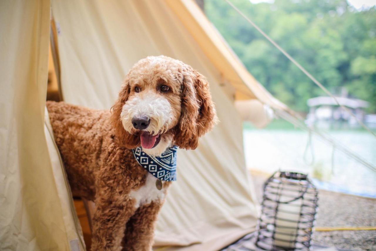 海伦 Timberline Glamping At Unicoi State Park酒店 外观 照片